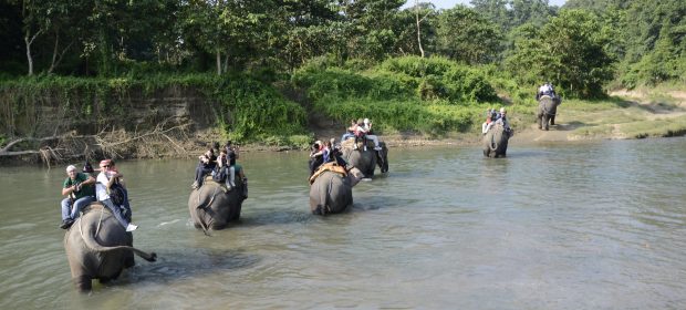 131. Safari Elefanti Nepal