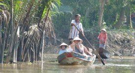 16. Delta Mekong