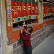 24. Noile Generatii De Tibetani