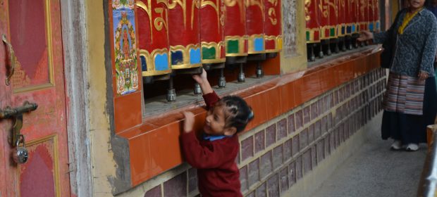 24. Noile Generatii De Tibetani