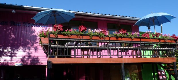 4. Baan Bua Homestay Chiang Rai