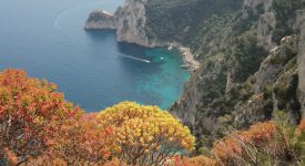 41. Capri Nastro Azzuro