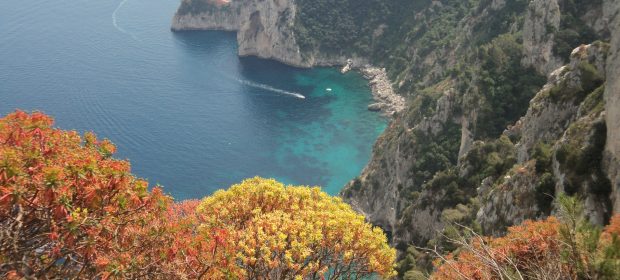 41. Capri Nastro Azzuro