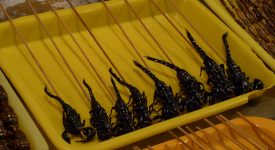 14. Frigarui De Scorpion