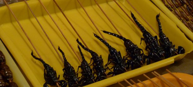 14. Frigarui De Scorpion