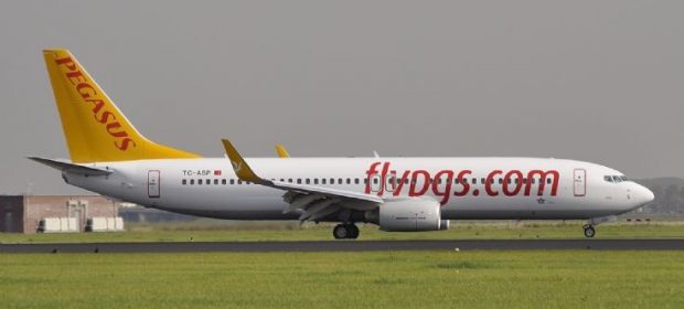 Fly Pegasus
