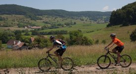 Bicicleta In Zona SIghisoara1