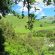 1. Pe Langa Rotorua Ne Intampina Un Verde Crud