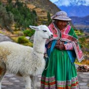 16. Localnica Cu Lama La Colca Canyon