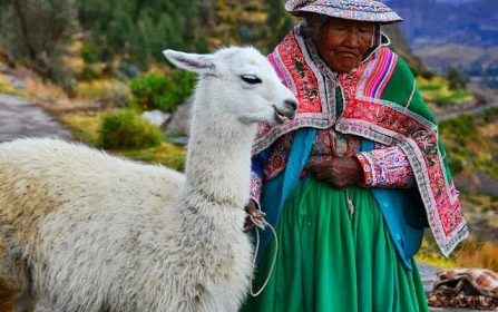 16. Localnica Cu Lama La Colca Canyon