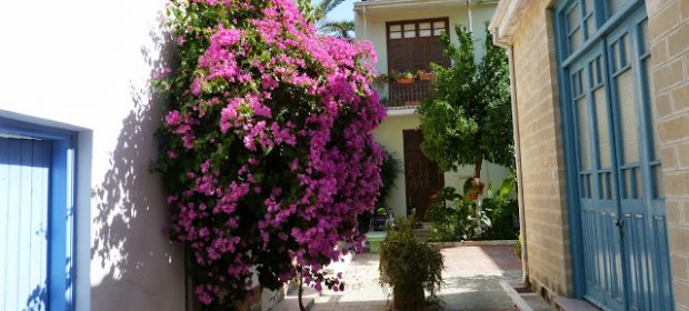 35. Stradute Nicosia