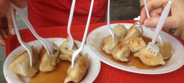 Tasty Dumplings