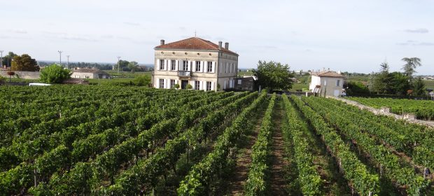 22. Vita De Vie St. Emilion