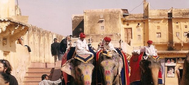 Jaipur Elefanti