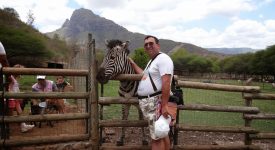 18. Mangaind O Zebra