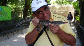 21. Mangaind Un Crocodil
