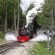 18. Locomotiva De Epoca