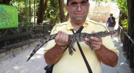 03. Cu Un Pui De Crocodil