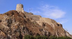 13. Cetate Muscat