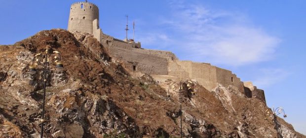 13. Cetate Muscat