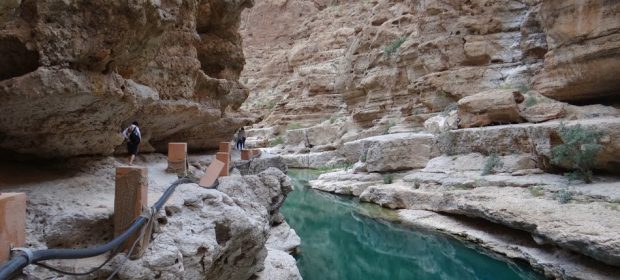 37. Apa Verde De La Wadi Shab