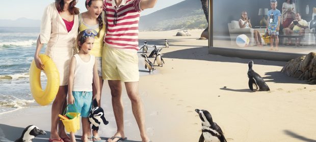TravelSurf