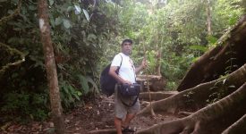 20. La Drum Prin Jungla Corcovado
