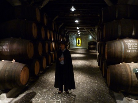 11. Tur - crama vinuri de Porto