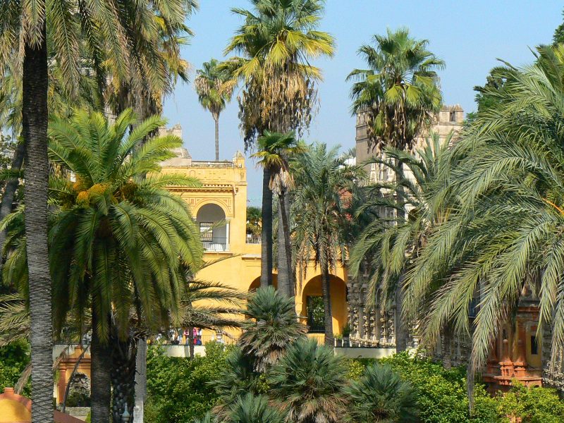 13. Curtea palatului din Sevilla, Spania