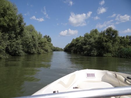 12. Tur in Delta