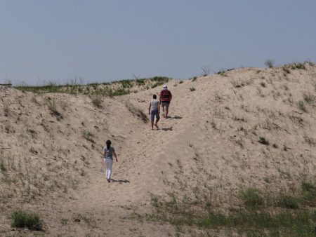 15. Dune nisip in Delta