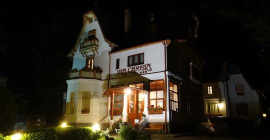 17. Vila Camelia By Night