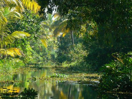 04, Backwaters - India
