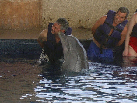 05. Pupat de un delfin