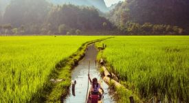 1. Hpa An Copy