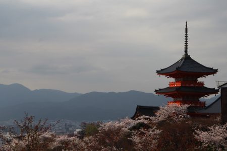 03. Kyoto in time of Sakura