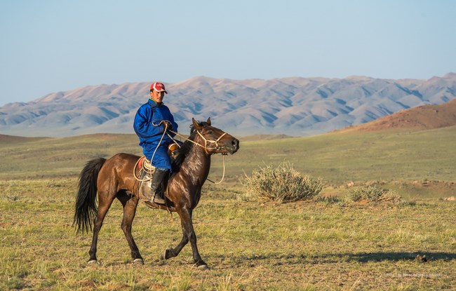 07. Calaret Mongolia