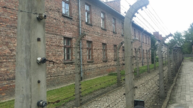 11. Lagar Auschwitz