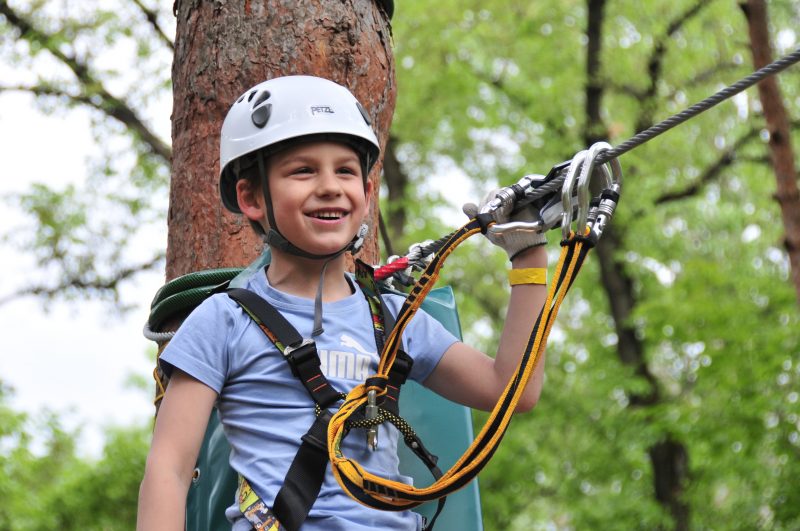 11. KOALAND Parc Aventuri_Campia Maghiara de Nord