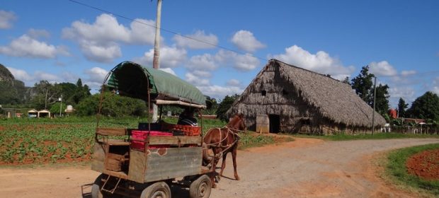 25. Pinar Del Rio Cuba