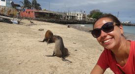 Selfie Cu Lupii De Mare Galapagos Ecuador