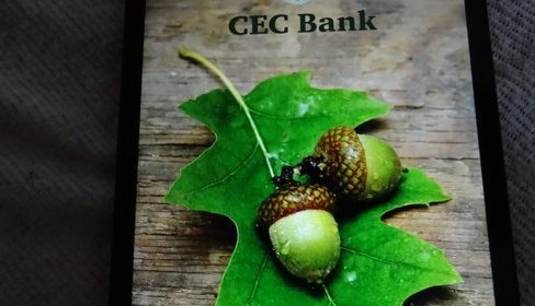01. Aplicatie Mobila CEC