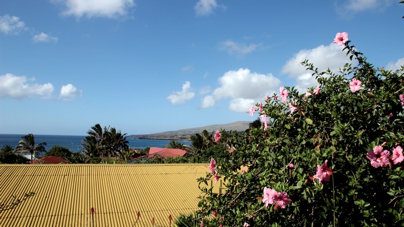03. Rapa Nui