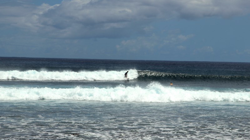 27. Surfing - Insula Pastelui