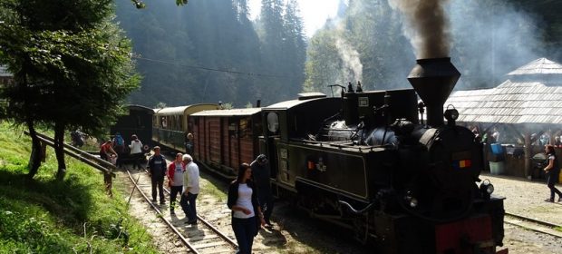 53. Mocanita Maramures