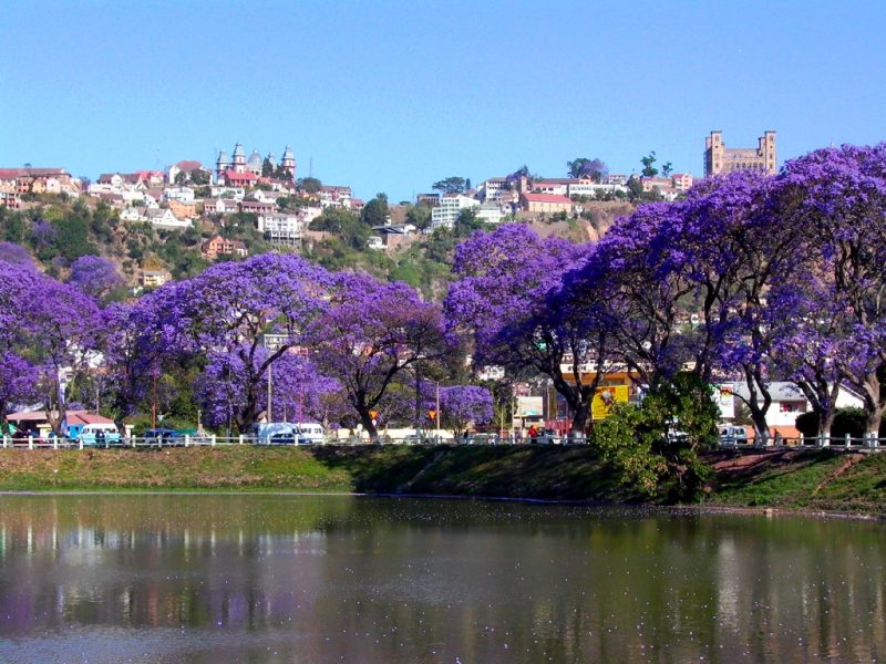 01. Madagascar