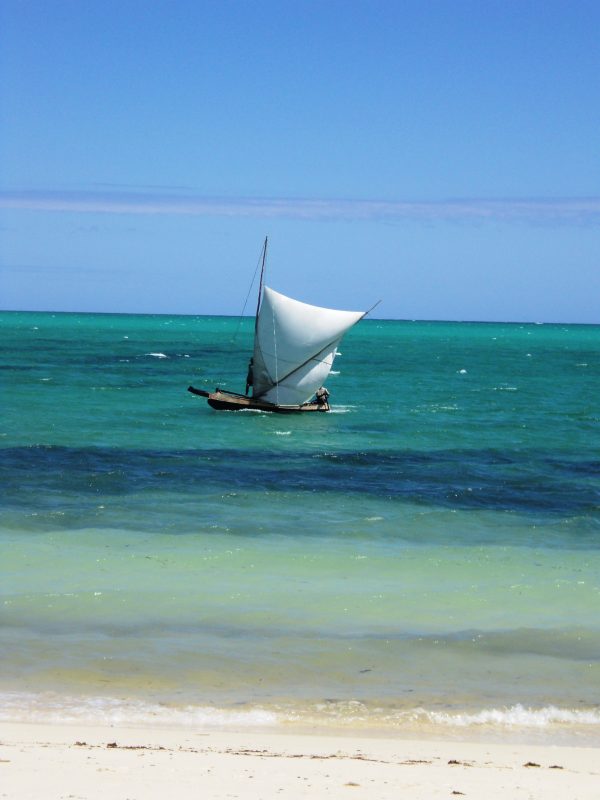 12. Mare in Madagascar