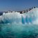 07. Antarctica
