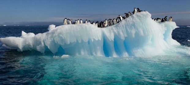 07. Antarctica
