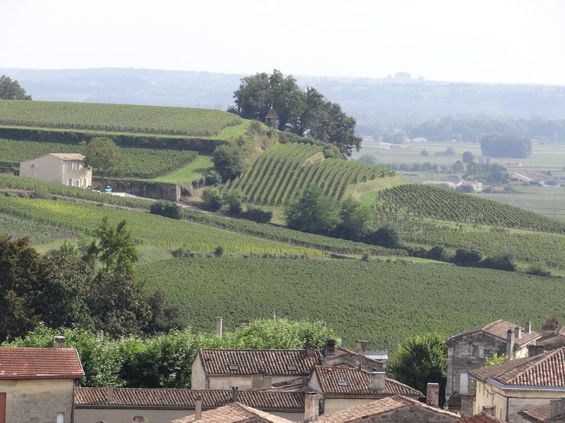 20. Vita de vie St. Emillion